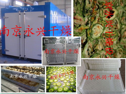 專業設計服務 從構想到實現的卓越旅程