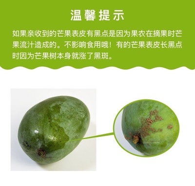 海南芒果 炎夏熱土的真“忙”事，甜蜜誘惑讓人欲不能停！